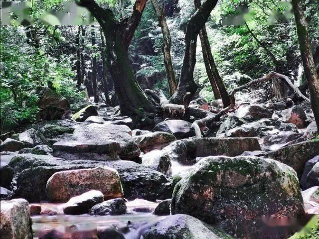 新天然气：全资子公司竞得两个区块的页岩气资源探矿权