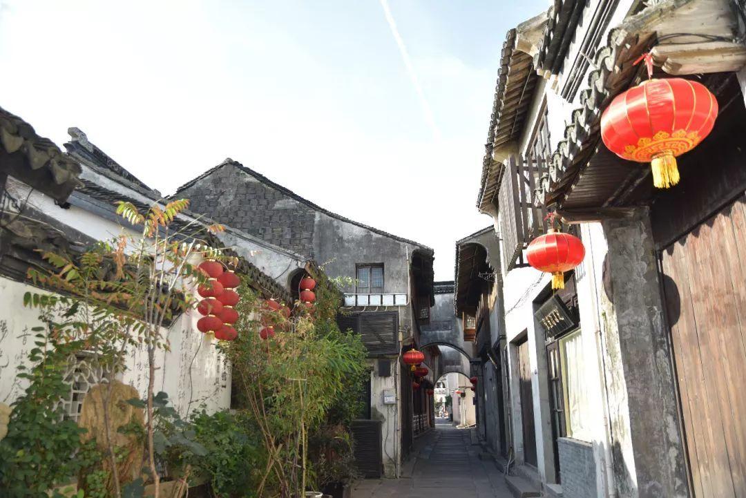除虫大师